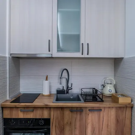 Apartment Despot Lux Banja Koviljaca