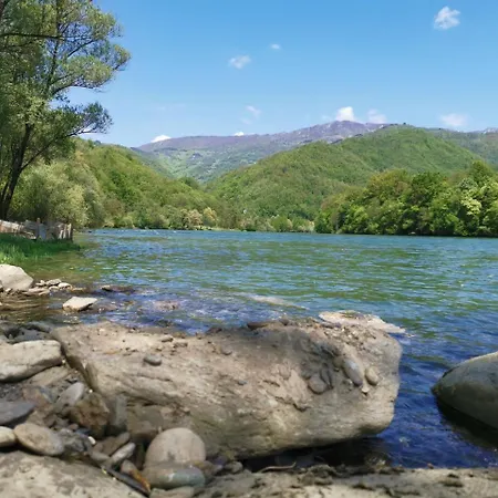 Despot Lux Lejlighed *