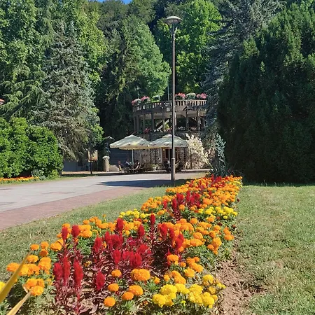 Despot Lux Appartement Banja Koviljača