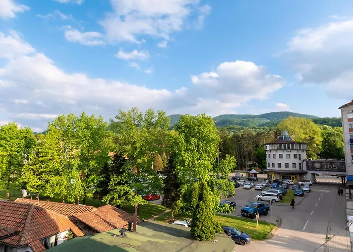 Апартаменты Despot Lux Баня-Ковиляча