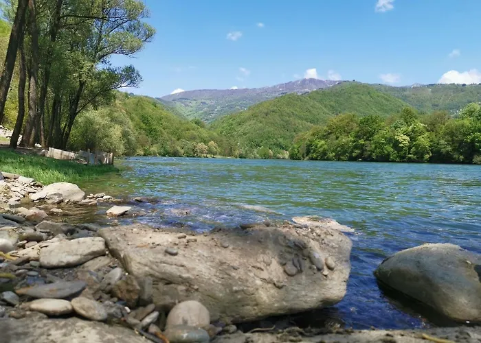 Despot Lux Апартаменты *