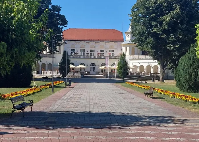 Апартаменты Despot Lux