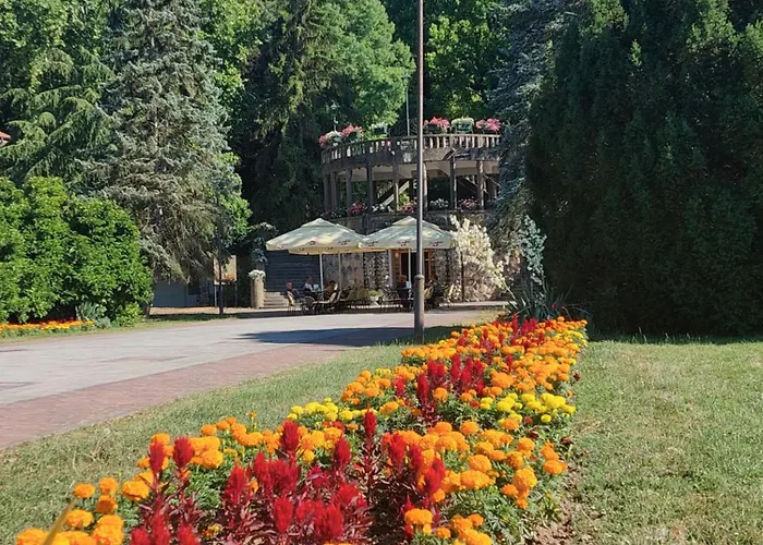 Despot Lux Апартаменты Баня-Ковиляча