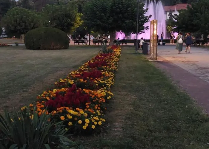 Despot Lux Апартаменты Баня-Ковиляча